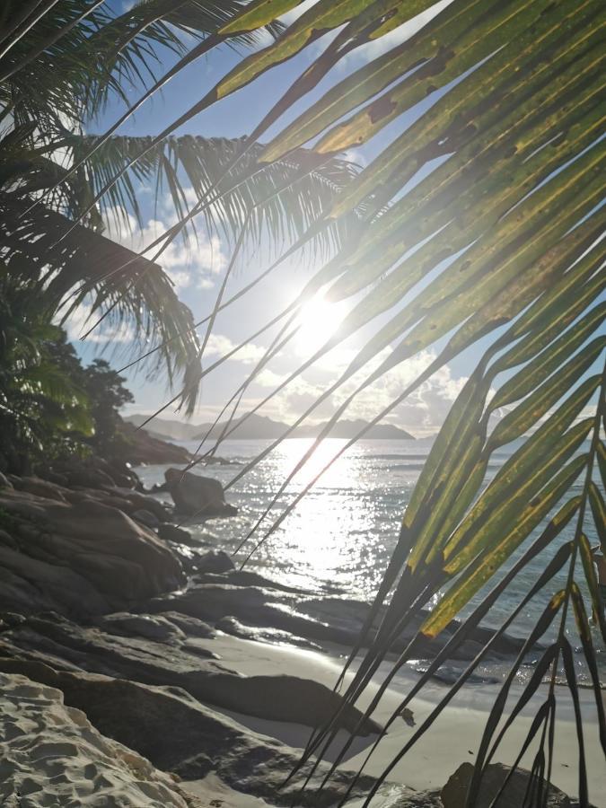 Chez Marva Grande Villa Coco 3 A 12 Personnes La Digue Luaran gambar